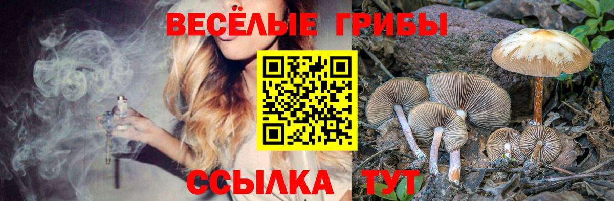 Галлюциногенные грибы Magic Shrooms Зеленогорск