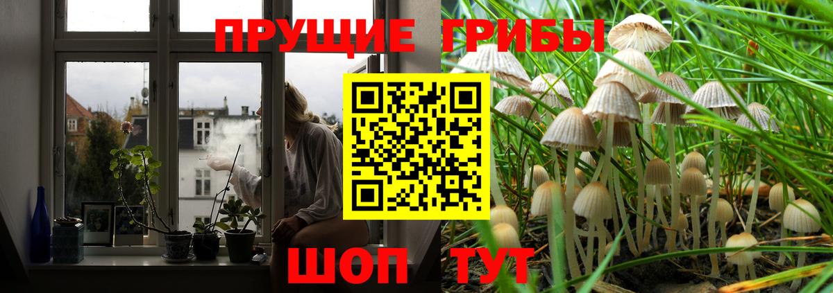 Галлюциногенные грибы ЛСД  Вход с VPN  Зеленогорск  Галлюциногенные грибы прущие грибы 
